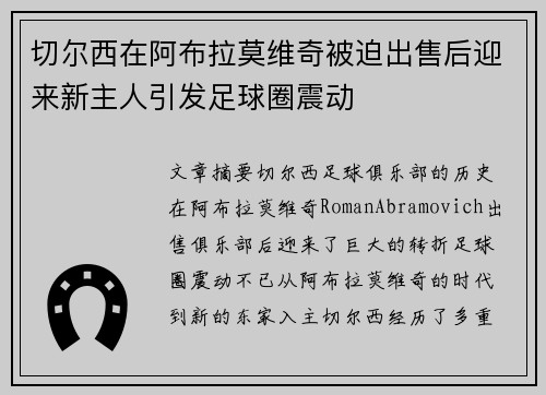 切尔西在阿布拉莫维奇被迫出售后迎来新主人引发足球圈震动