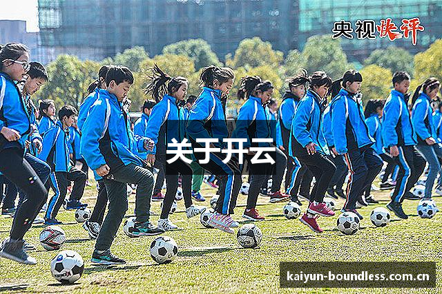 关于开云